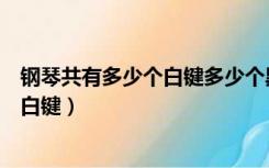 钢琴共有多少个白键多少个黑键（钢琴有多少个黑键多少个白键）