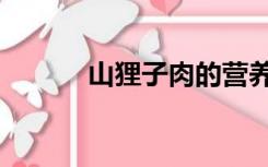 山狸子肉的营养价值（山狸子）