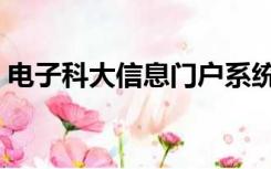 电子科大信息门户系统（电子科大信息门户）