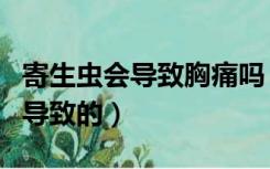 寄生虫会导致胸痛吗（胸部寄生虫是什么原因导致的）