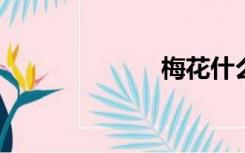 梅花什么时候开
