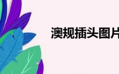 澳规插头图片（澳规插头）