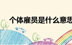 个体雇员是什么意思（雇员是什么意思）