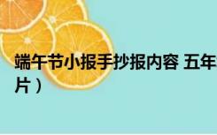 端午节小报手抄报内容 五年级（五年级端午节小报手抄报图片）