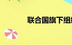 联合国旗下组织（联合国旗）