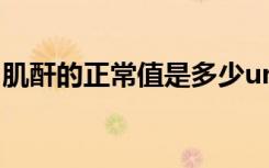 肌酐的正常值是多少umol/l（肌酐的正常值）