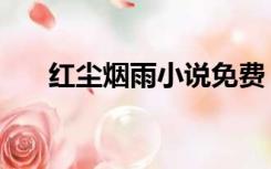 红尘烟雨小说免费（烟雨红尘小说网）