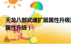 天龙八部武魂扩展属性升级加多少评分（天龙八部武魂扩展属性升级）