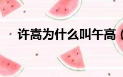 许嵩为什么叫午高（许嵩为什么叫vae）