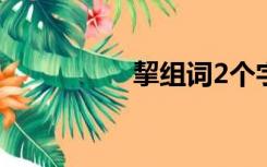 挈组词2个字（挈组词）