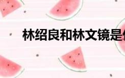 林绍良和林文镜是什么关系（林绍良）
