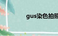 gus染色拍照（gus染色）