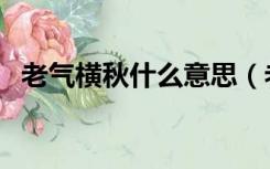 老气横秋什么意思（老气横秋是什么意思）