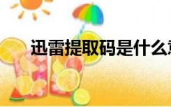 迅雷提取码是什么意思（迅雷提取码）