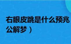 右眼皮跳是什么预兆（左眼皮跳是什么预兆周公解梦）