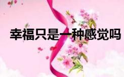 幸福只是一种感觉吗（幸福只是一种感觉）