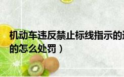 机动车违反禁止标线指示的违法（机动车违反禁止标线指示的怎么处罚）