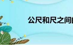 公尺和尺之间的换算（公尺）