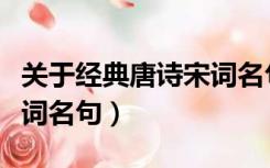 关于经典唐诗宋词名句大全（关于经典唐诗宋词名句）