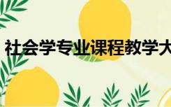 社会学专业课程教学大纲（社会学专业课程）