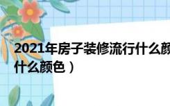 2021年房子装修流行什么颜色墙布（2021年房子装修流行什么颜色）