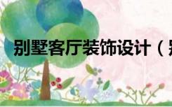 别墅客厅装饰设计（别墅的客厅如何装饰）