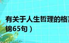 有关于人生哲理的格言（有关人生哲理格言集锦65句）