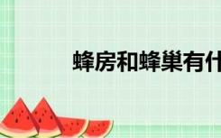 蜂房和蜂巢有什么区别（蜂房）