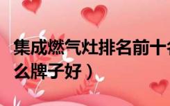 集成燃气灶排名前十名的品牌（集成煤气灶什么牌子好）