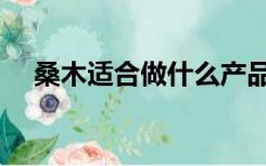 桑木适合做什么产品（桑木适合做什么）
