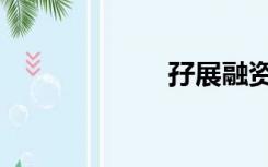 孖展融资（孖展）