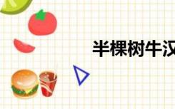 半棵树牛汉（半棵树）