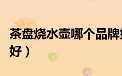 茶盘烧水壶哪个品牌好（茶台烧水壶哪个牌子好）