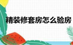 精装修套房怎么验房（套房装修怎么验收）