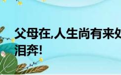 父母在,人生尚有来处!父母去,人生只剩归途!泪奔!