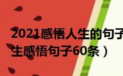 2021感悟人生的句子经典（2021年简短的人生感悟句子60条）