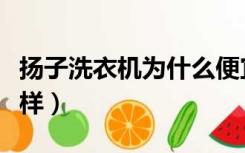 扬子洗衣机为什么便宜（扬子洗衣机质量怎么样）