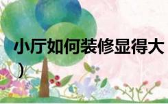 小厅如何装修显得大（小客厅怎么装修显得大）