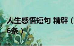 人生感悟短句 精辟（通用人生感悟短句锦集56条）