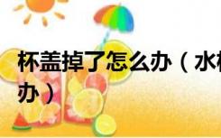 杯盖掉了怎么办（水杯盖内垫经常掉下来怎么办）