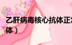 乙肝病毒核心抗体正常数值（乙肝病毒核心抗体）