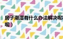 房子潮湿有什么办法解决呢视频（房子潮湿有什么办法解决呢）