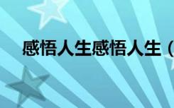 感悟人生感悟人生（学会感悟人生感悟）