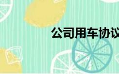 公司用车协议（用车协议）