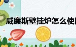 威廉斯壁挂炉怎么使用（壁挂炉怎么使用）