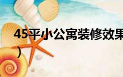 45平小公寓装修效果（45平方公寓怎么装修）