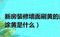 新房装修墙面刷黄的是什么（毛坯房装修墙面涂黄是什么）