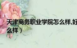 天津商务职业学院怎么样,好就业吗?（天津商务职业学院怎么样）