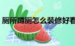 厕所蹲厕怎么装修好看（蹲厕怎么装修好看）