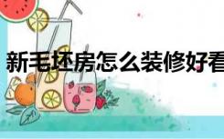 新毛坯房怎么装修好看（新毛坯房怎么装修）